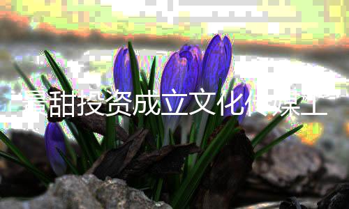 投资景甜工作达9比例文化成立传媒持股室